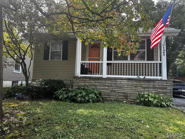 125 Hull AVE, St Louis, MO 63119