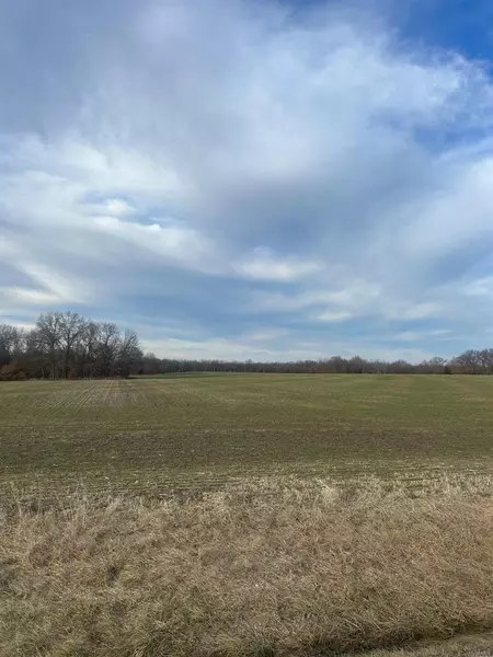 0 Highway CC, Bellflower, MO 63361