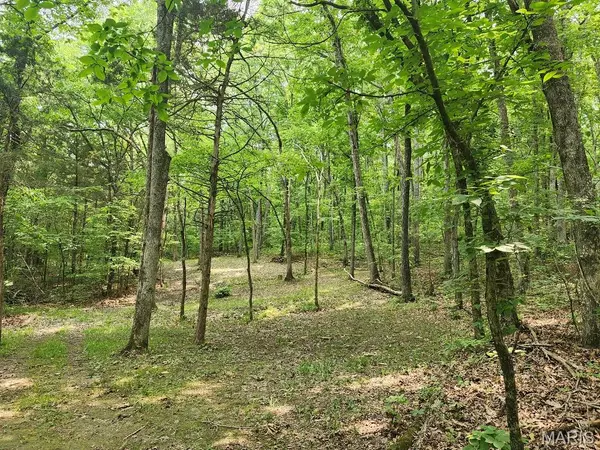 De Soto, MO 63020,13795 Klondike RD