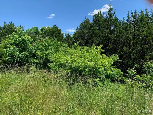 Hillsboro, MO 63050,0 Old Route 21