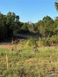 Monroe City, MO 63456,4 Walker WAY