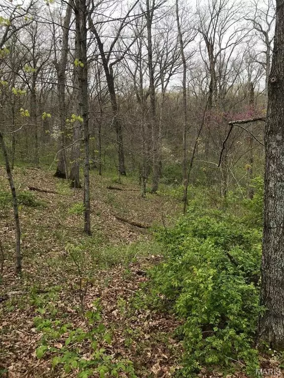 Wright City, MO 63390,0 Klausmeier Rd