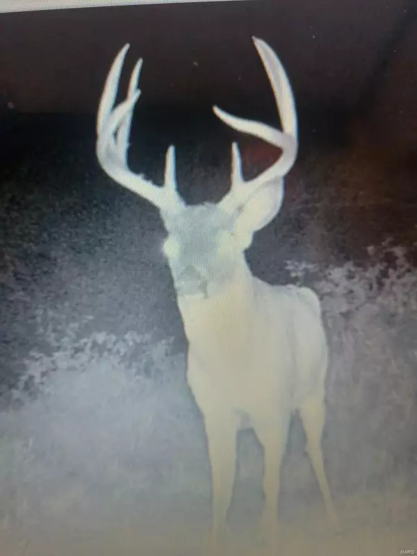 La Belle, MO 63447,0 225th ST