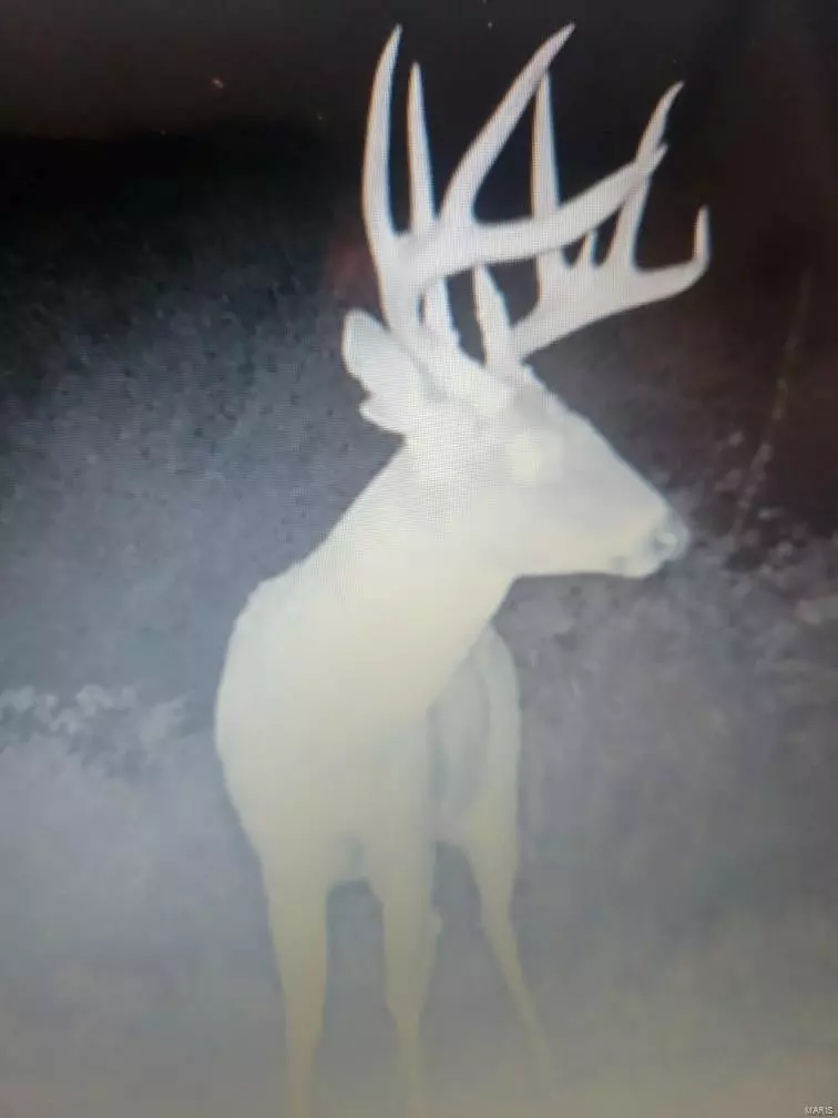 La Belle, MO 63447,0 225th ST