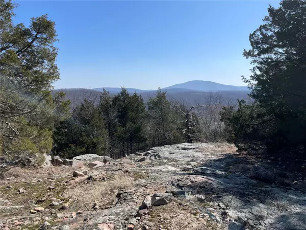 Piedmont, MO 63957,0 County Road 349A