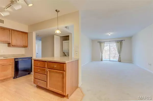 St Louis, MO 63146,1380 Willow Brook Cove CT #10