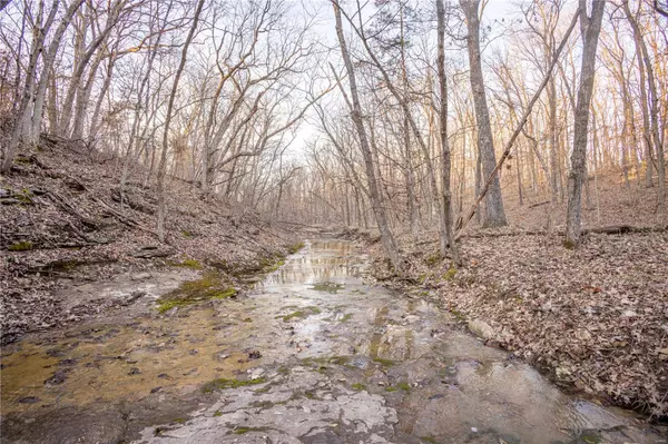 Perry, MO 63462,0 Truman LN