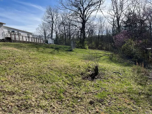 De Soto, MO 63020,2717 Creon CT