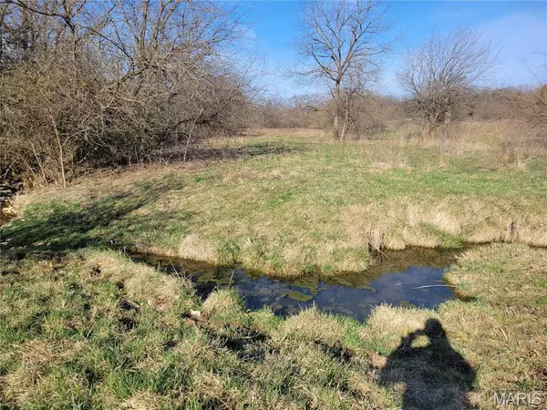 Silex, MO 63377,0 Highway RA (8 Ac - Tract 3)