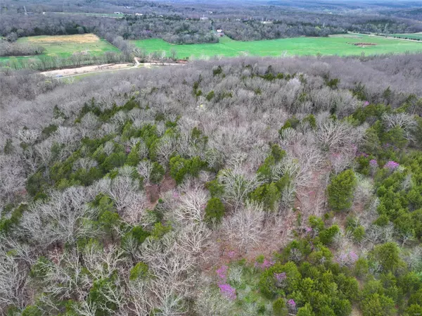 Festus, MO 63028,0 Windy Hill RD