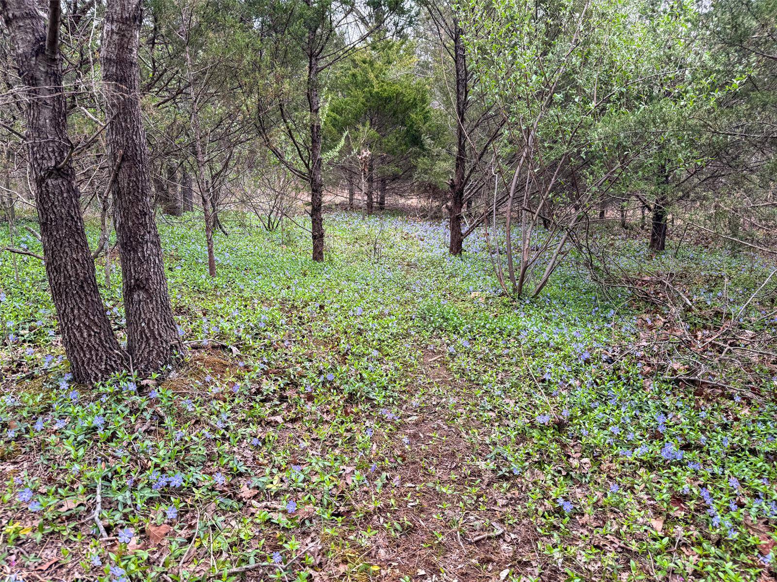 Festus, MO 63028,0 Windy Hill RD