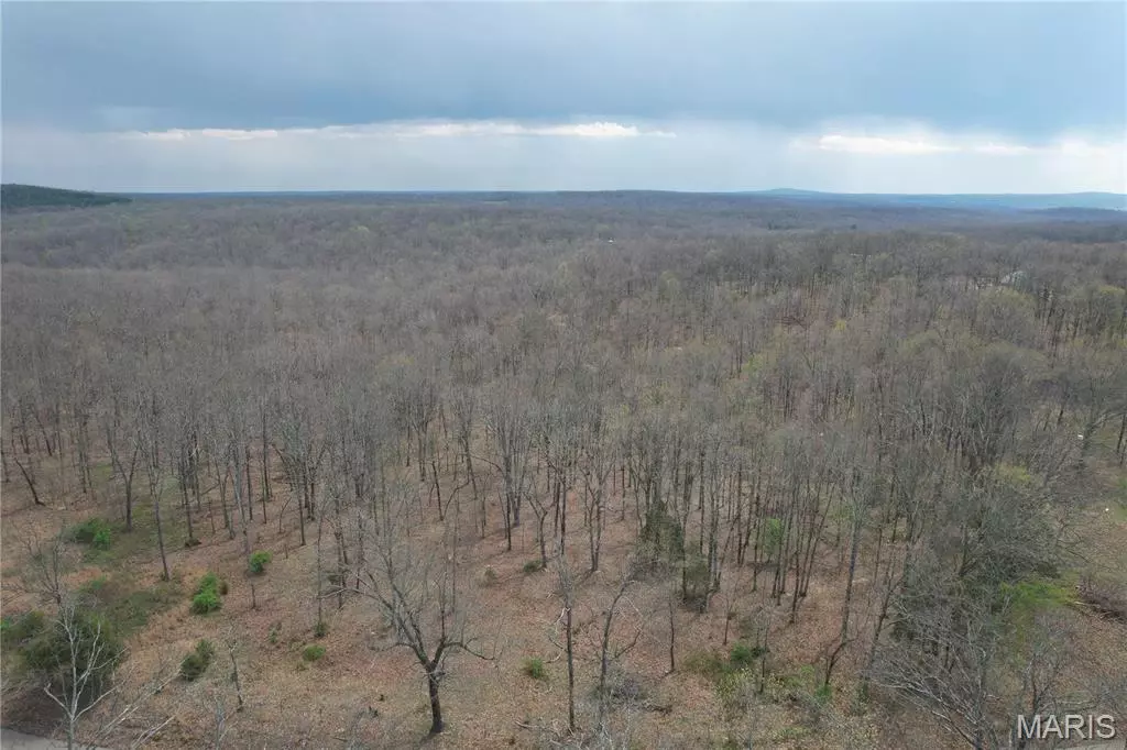 Fredericktown, MO 63645,2292 Madison 219