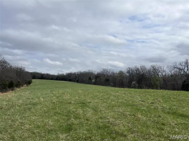 (31.26+/-Ac) Tract #3 Horstman RD, New Haven, MO 63068