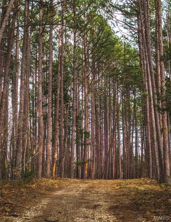 Bourbon, MO 65441,3898 Christy Mine Road