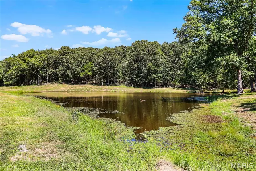 (31.46+/-Ac) Tract #4 Horstman RD, New Haven, MO 63068