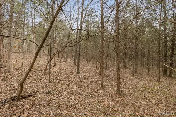 Dittmer, MO 63023,0 Sycamore RD #Lot 66