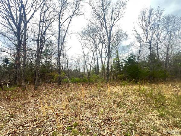 0 Wainwright Road, Plato, MO 65552