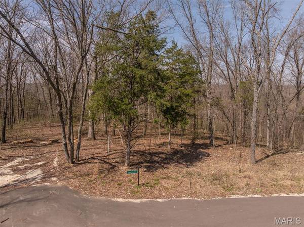 2845 Arbon Court DR, Innsbrook, MO 63390
