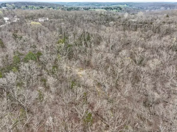 Robertsville, MO 63072,1 Watts Acres