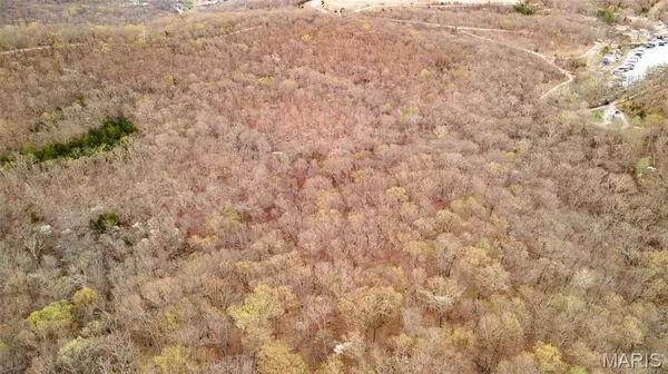 Sunrise Beach, MO 65079,41 TBD Old Hickory LN