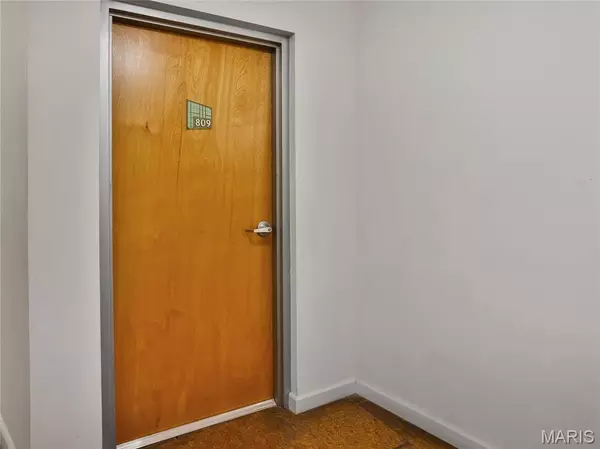 St Louis, MO 63103,2020 Washington AVE #809