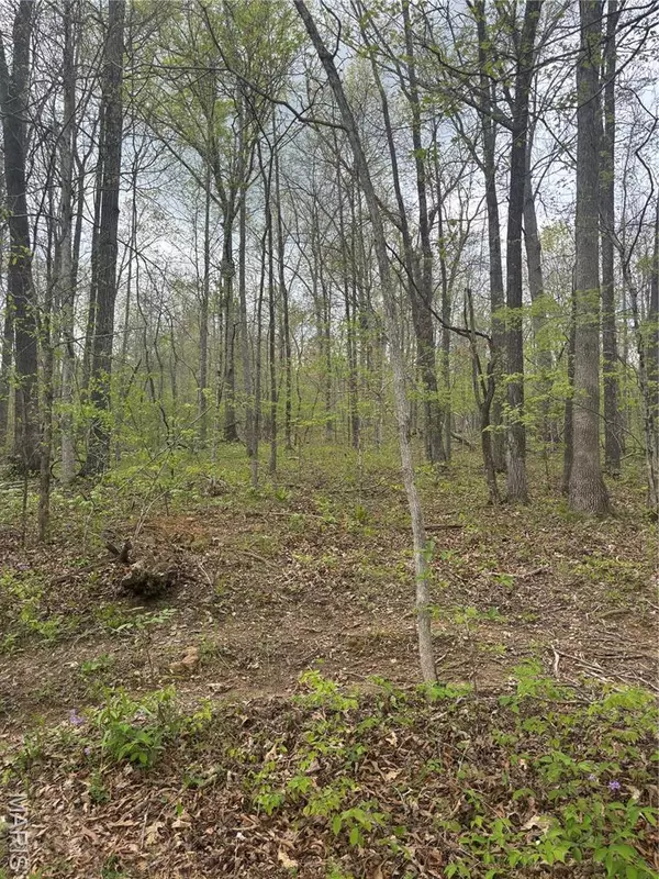 Fredericktown, MO 63645,1900 Madison 238