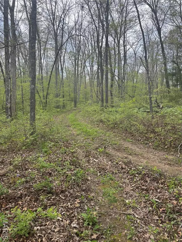 Fredericktown, MO 63645,1900 Madison 238