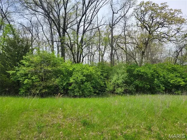 Foley, MO 63347,160 Widgeon LN