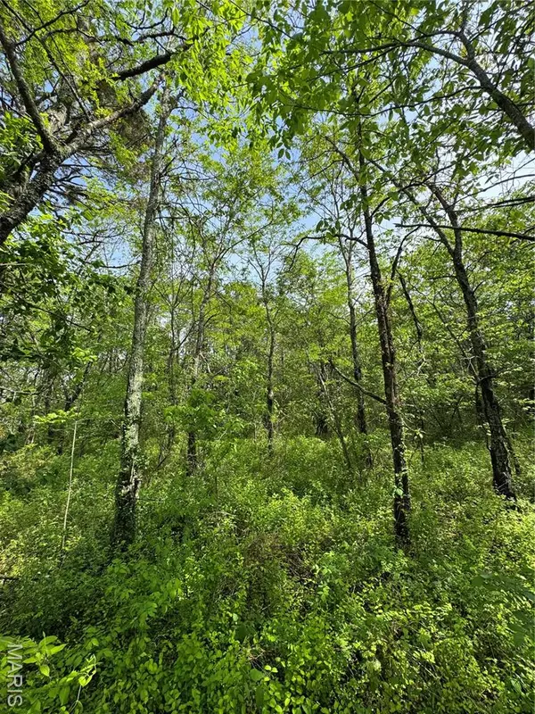 Licking, MO 65542,0 Mallard Road Tract B