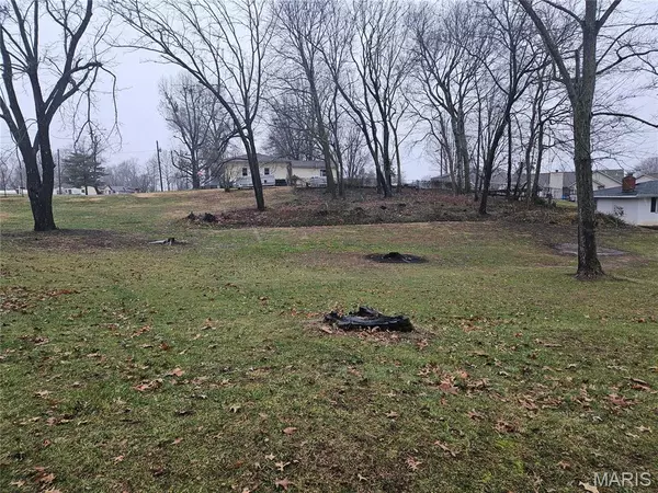 Bethalto, IL 62010,20 Fairway DR