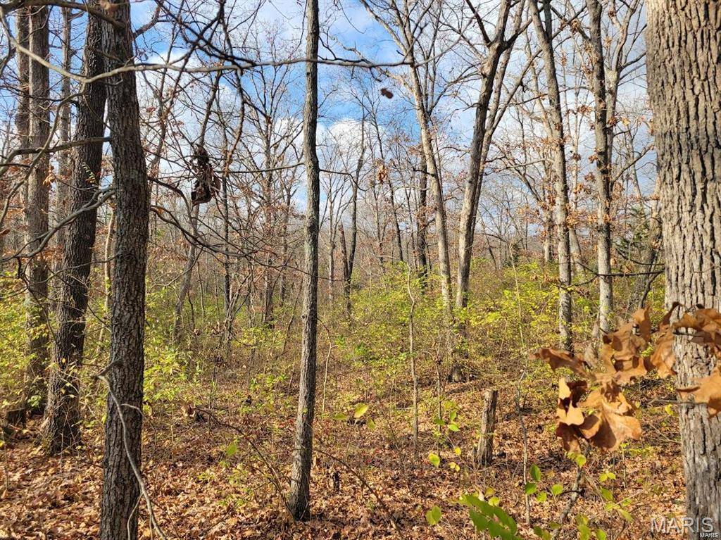 Moscow Mills, MO 63362,0 Beach CIR