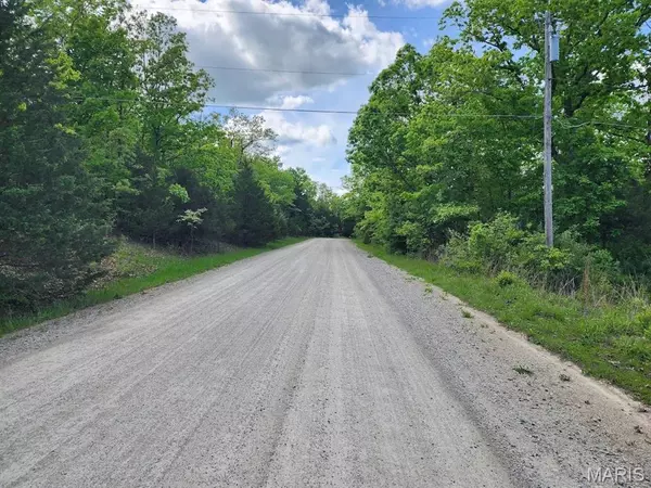 Bonne Terre, MO 63628,0 Rue Marseilles