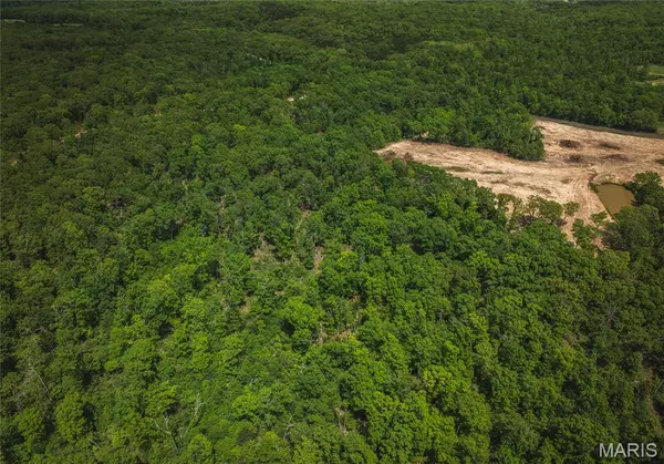 Sullivan, MO 63080,0 Lot 1, Pea Ridge Farms DR