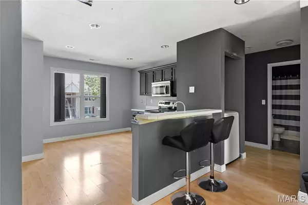 St Peters, MO 63376,34 Sugar Grove CT