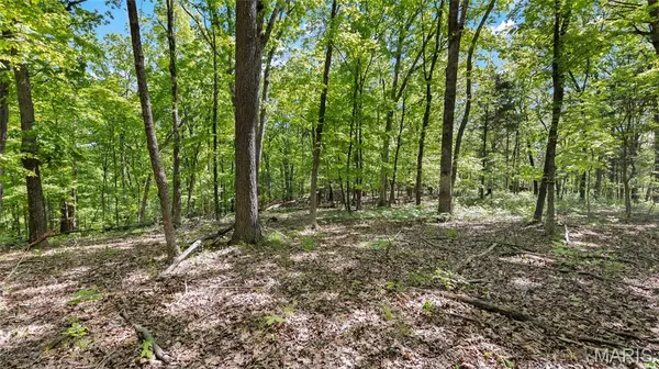 Robertsville, MO 63072,TBD Holtwick Trail