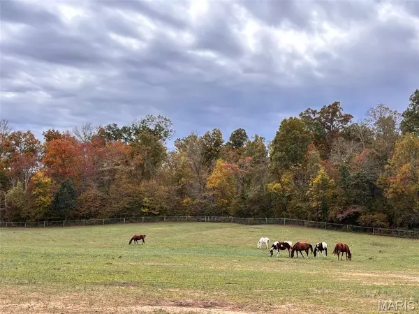 352 Madison Wayne 9305 Marquand, Unincorporated, MO 63655