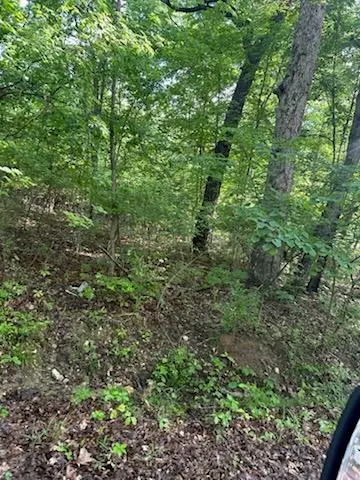 Hillsboro, MO 63050,Lot 3 Timberline DR