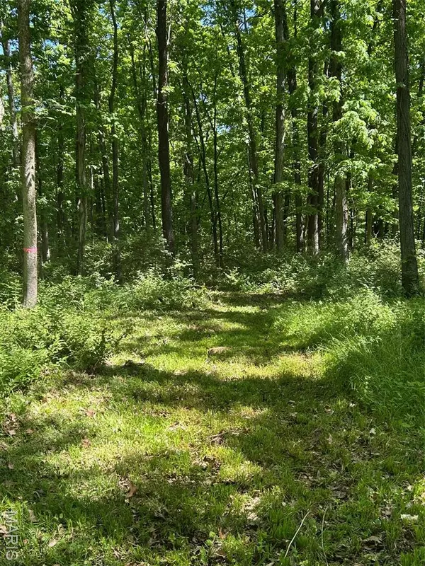 Troy, MO 63379,136 Sydnorville RD