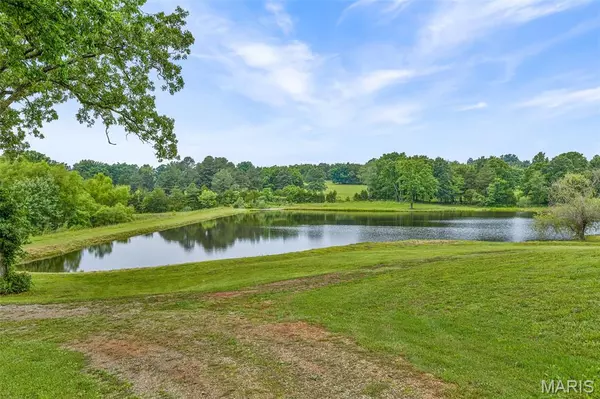 Irondale, MO 63648,10629 Pheasant Farm RD