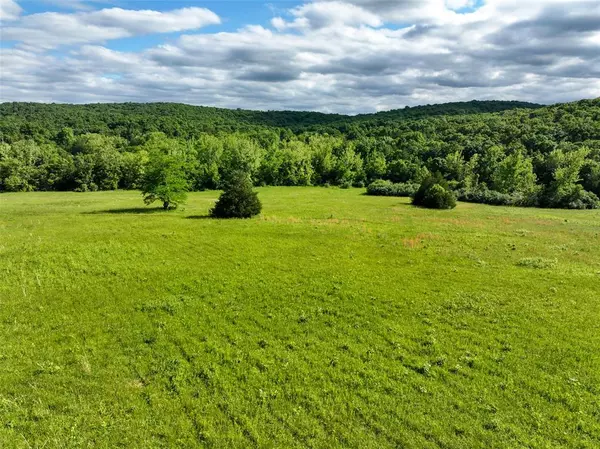 Bourbon, MO 65441,0 Hinch RD