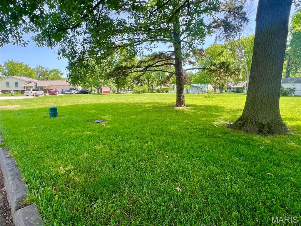 Montgomery City, MO 63361,00 Elmore Ct