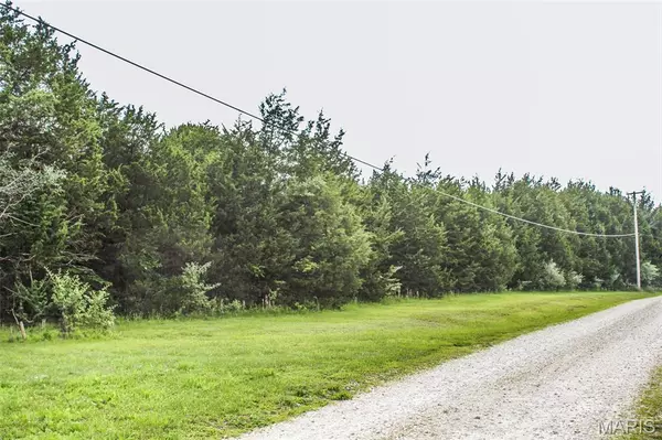 749 Lakeview DR,  Leslie,  MO 63056