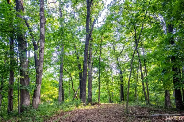 Elsberry, MO 63343,00 Tickridge RD