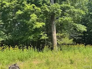 Marthasville, MO 63357,646 Sir Richard DR