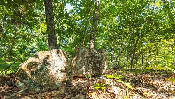 Potosi, MO 63664,000 Floyd Tower Rd