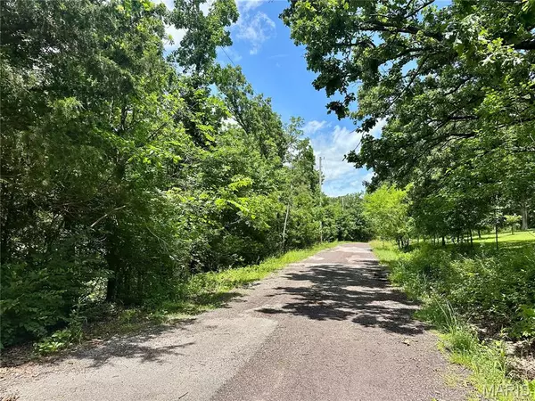 Rolla, MO 65401,TBD Bluebird LN