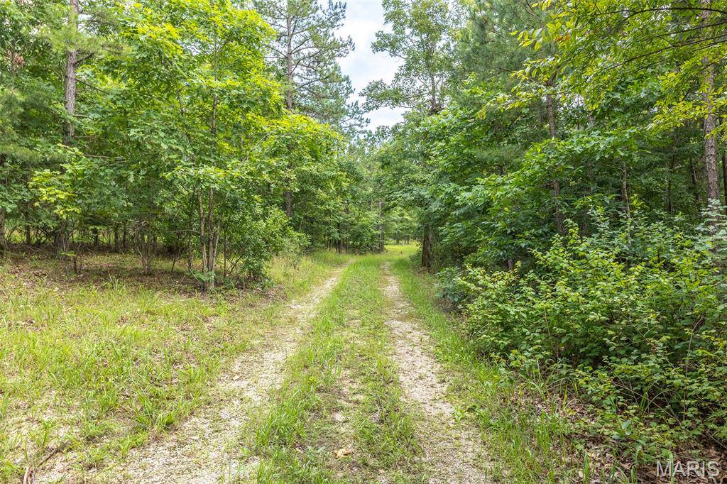South of US Highway 60, Poplar Bluff, MO 63901