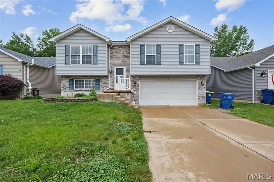 317 Andy Habsieger ST, Festus, MO 63028