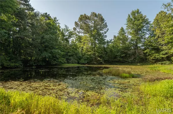 Grandin, MO 63943,123 County Road 0-3A