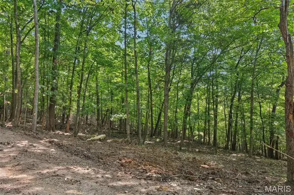 Byrnes Mill, MO 63051,6300 Franks RD